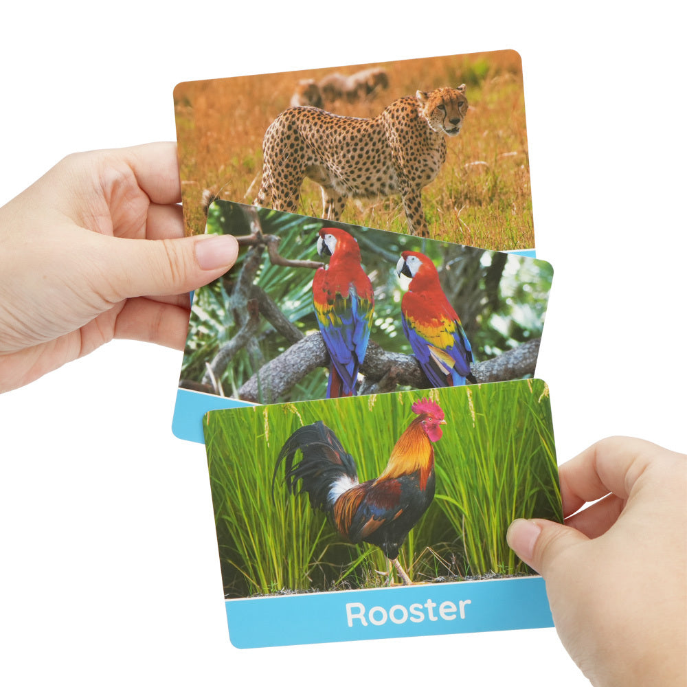 125 Double Sided Toddler Flash Cards - Alphabet Letter Number Color Animal Baby Learning Cards Preschool Educational Activity Set