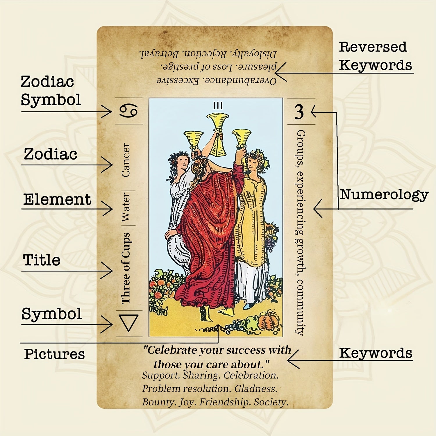 Tarot Cards for Beginners 78 Vintage Card Deck with PDF Guide – Spiritual Gift for Adults, Halloween Christmas Party Game, Family & Friends
