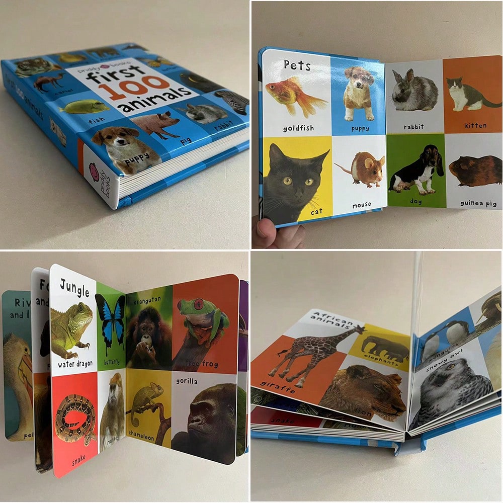 First Words Books for Kids, English Vocabulary Learning with Animals, Trucks, Dinosaurs, Numbers, Colors and Shapes Theme Options