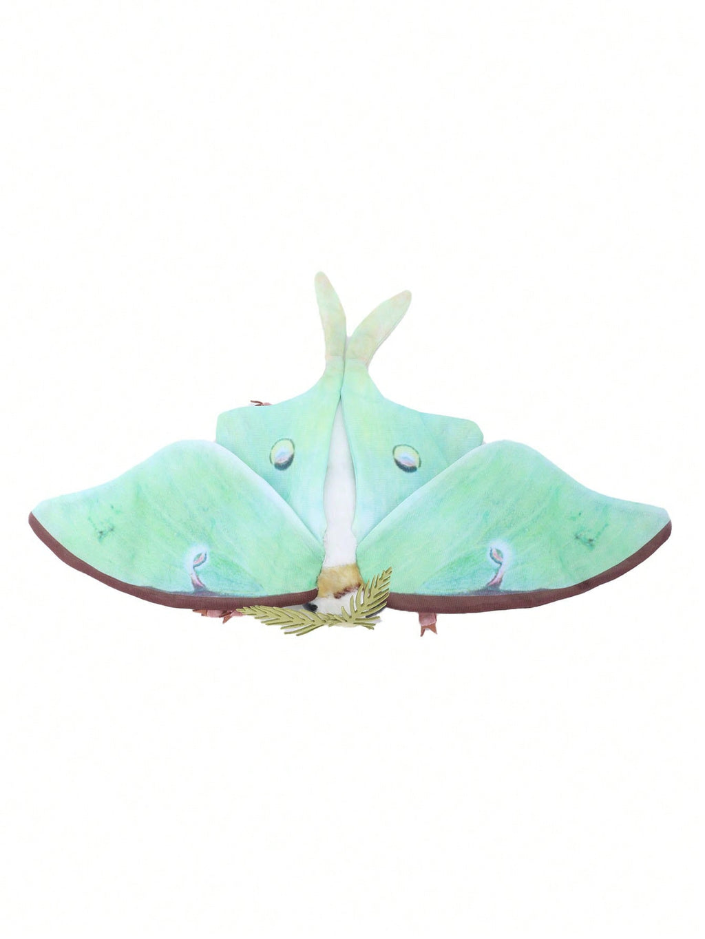 Moon Moth Plush Doll in Green, Big-Eyed Insect Stuffed Animal for Nature Lovers, Bedroom Decor, Plush Collections and Birthday Gifts