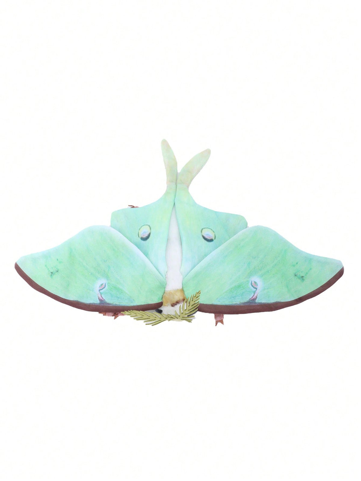 Moon Moth Plush Doll in Green, Big-Eyed Insect Stuffed Animal for Nature Lovers, Bedroom Decor, Plush Collections and Birthday Gifts