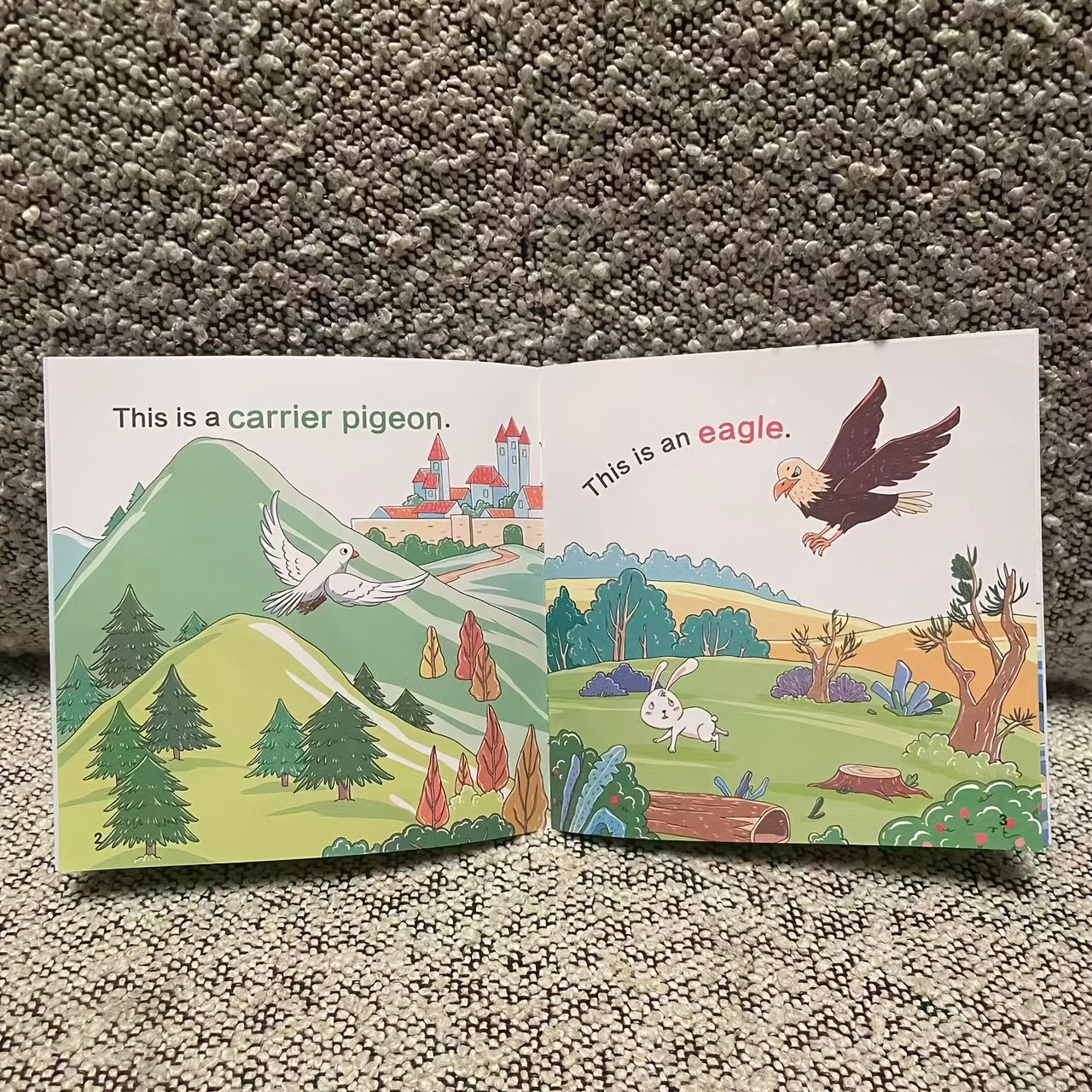 English Story Picture Books for Kids – Set of 10 Random Non-Repeating Children's Reading Books, Large Print on High-Quality Paper, Early Literacy & Bedtime Story Gift