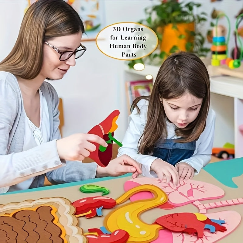 Human Body Felt Board Anatomy Model, 3D Felt Human Organ Educational Toy for Kids, STEM Science Learning Tool for School and Home Activities