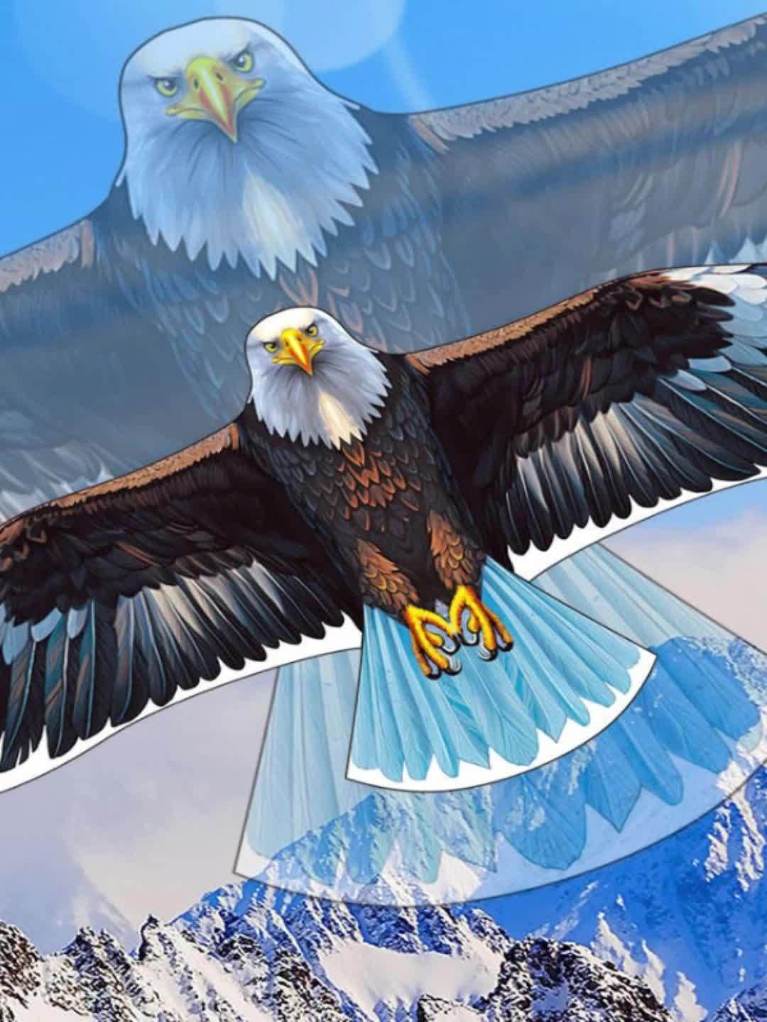 Eagle Kite Large with Handle & String for Beginners - Durable Polyester Outdoor Flying Toy for Beach, Park & Family Fun - Easy to Fly Gift for Kids Adults Ages 6+