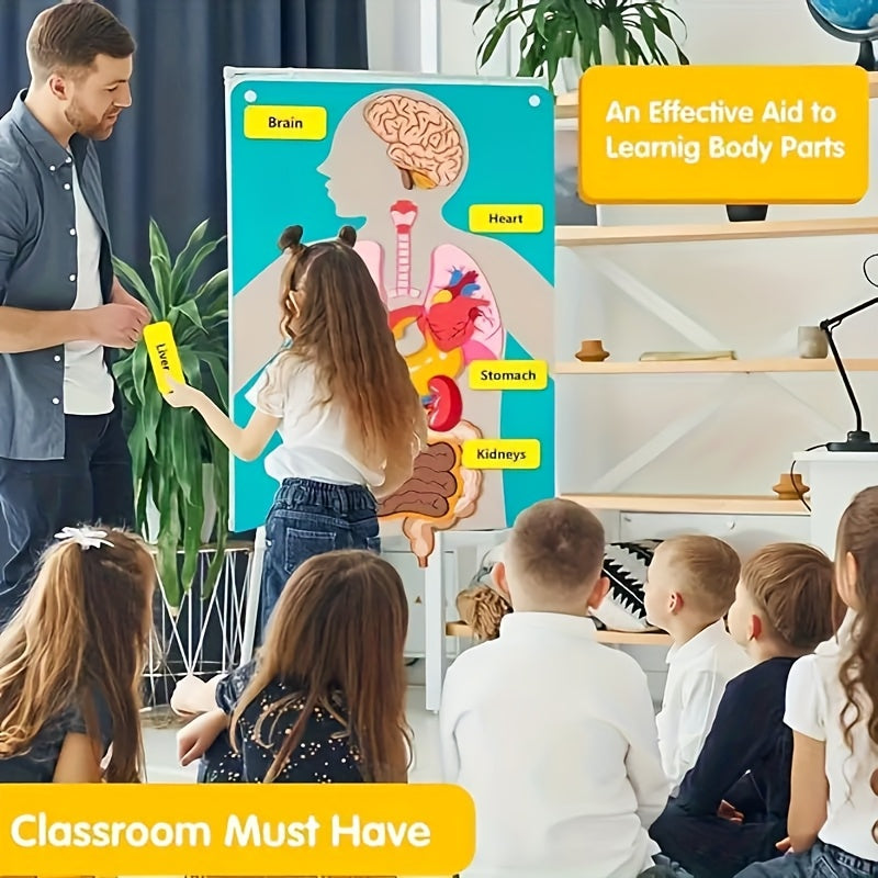Human Body Felt Board Anatomy Model, 3D Felt Human Organ Educational Toy for Kids, STEM Science Learning Tool for School and Home Activities