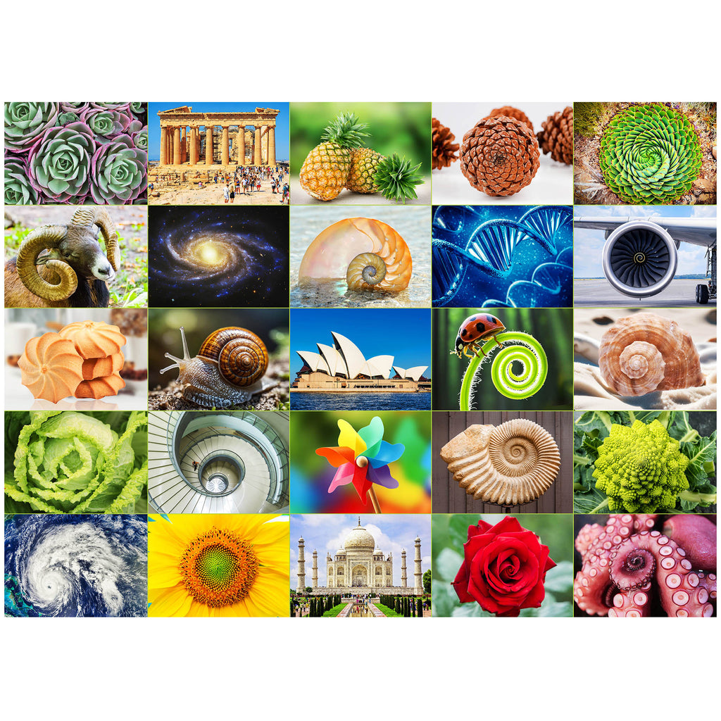 3-Pack 1000 Piece Jigsaw Puzzles for Adults – Scenic Nature Designs with Letters on Back, Challenging Family Game Night Puzzle Set, Birthday Christmas Holiday Easter Gift