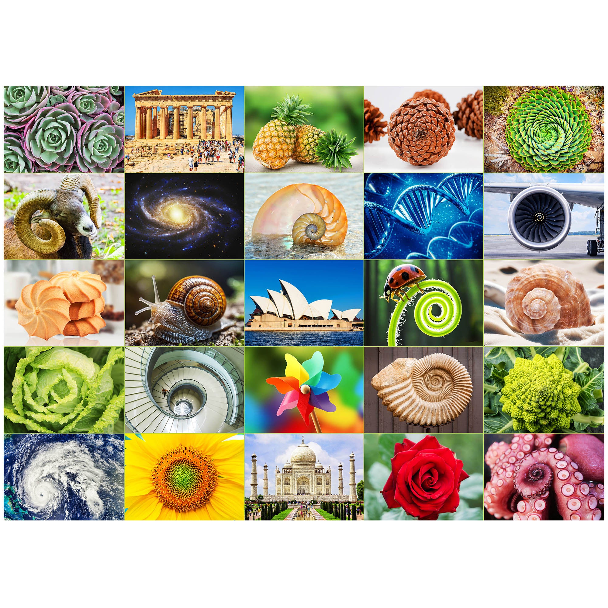 3-Pack 1000 Piece Jigsaw Puzzles for Adults – Scenic Nature Designs with Letters on Back, Challenging Family Game Night Puzzle Set, Birthday Christmas Holiday Easter Gift