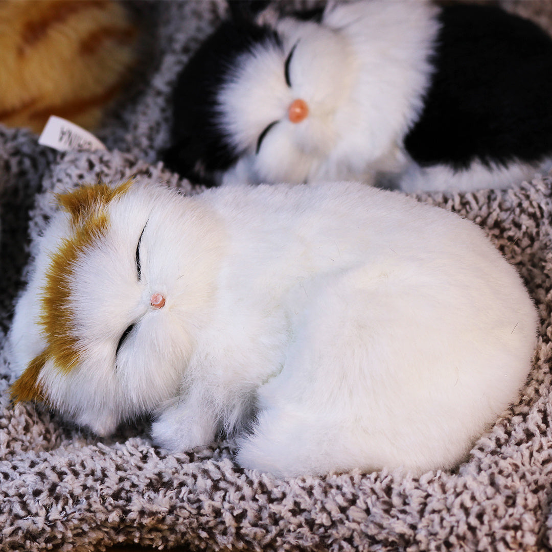 Sleeping Kitten Plush Toy with Meow Sound – Realistic Stuffed Cat Doll Soft Faux Fur, Press-Back Sound, Cute Mini Decor Gift for Kids & Cat Lovers