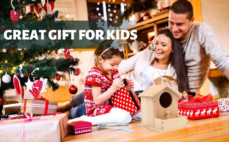 Wooden Birdhouse Kit for Kids Build & Paint Your Own 2-Pack DIY Arts Crafts Set with Brushes Paint Family Activity Birthday Christmas Gift for Boys Girls