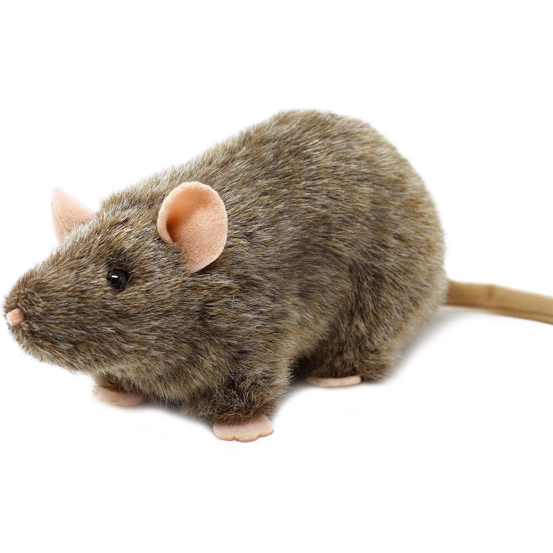 Rat Stuffed Animal Plush 7 Inch – Reuben The Rat by Viahart, Super Soft Norway Rat Plush Toy with Story, CPSIA Safe, Gift for Kids & Rat Lovers Ages 3+